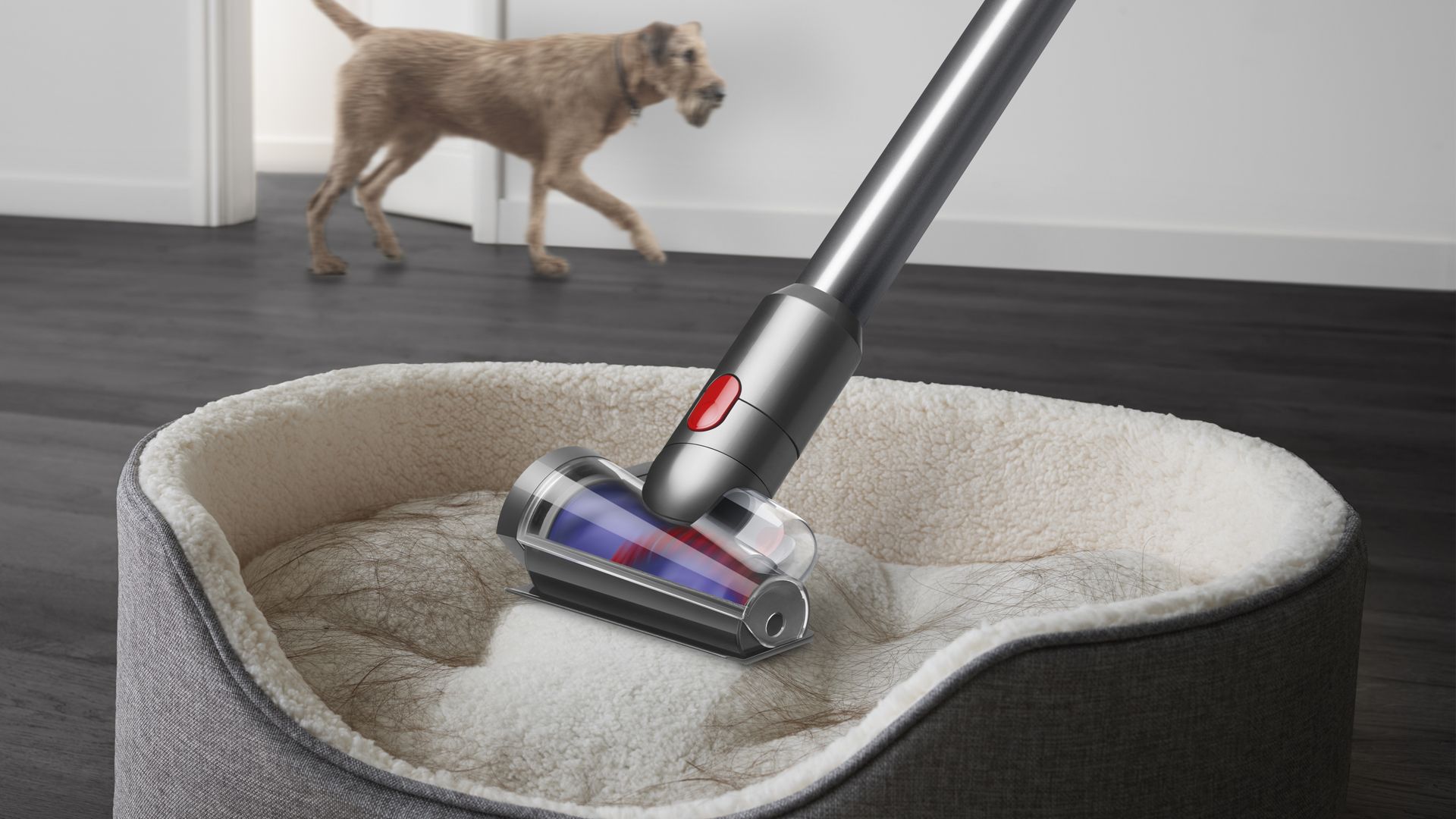 Dyson V12 Detect™ Slim Absolute Cordless Vacuum