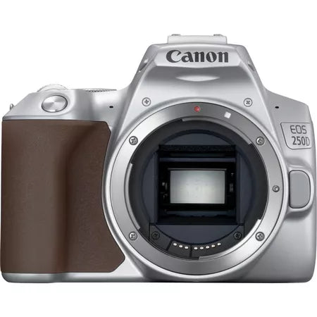 Canon EOS 250D Body, Silver and EF-S 18-55mm